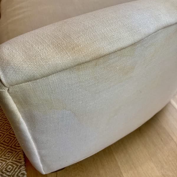 celulose browning on sofa 