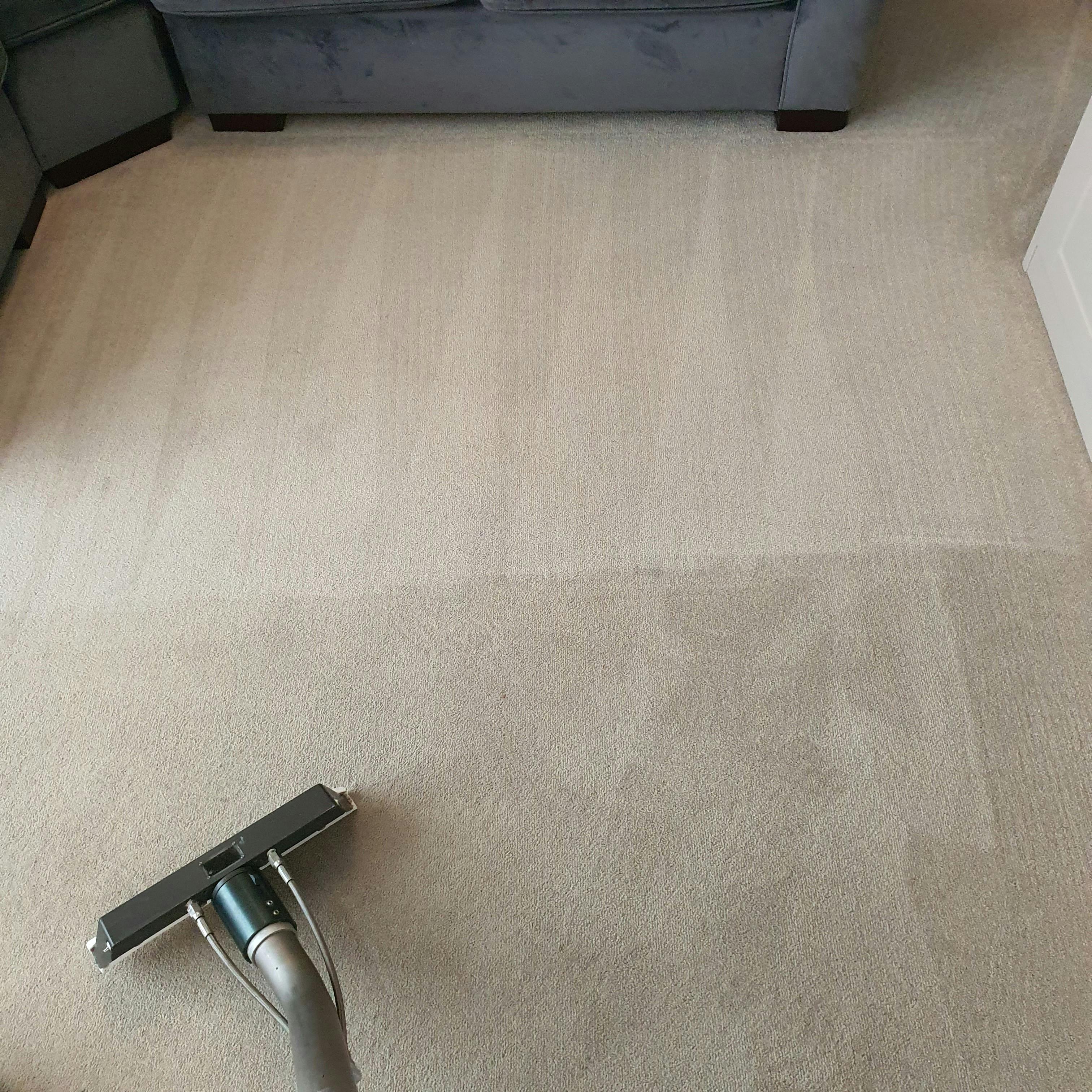 Carpet cleaning services near me